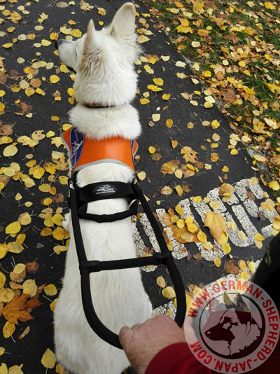 盲導犬ハーネス　通販