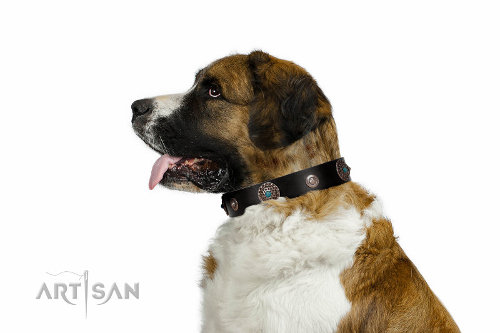 誕生日プレゼント犬好き