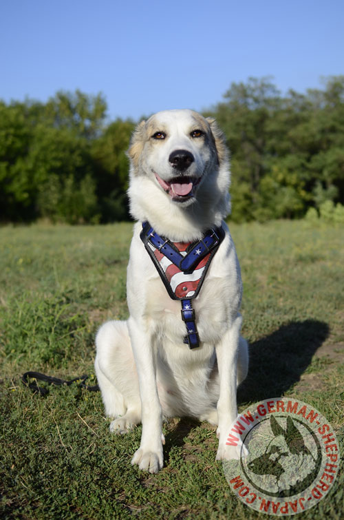 大型犬　ハーネス　革