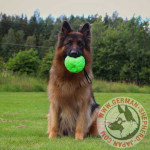 大型犬　おもちゃボール　便利なハンドル付き　サッカーボール　緑　径は15cm