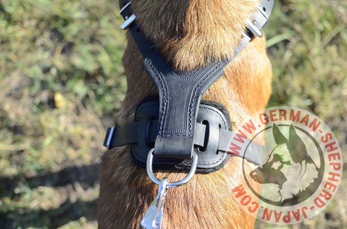 犬　ハーネス　かっこいい