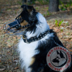 シェルティー犬種　口輪　散歩、訓練、グルミング用