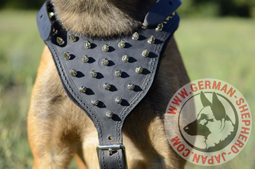 大型犬　ハーネス　おしゃれ