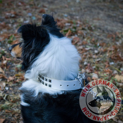 犬　首輪　デザイン