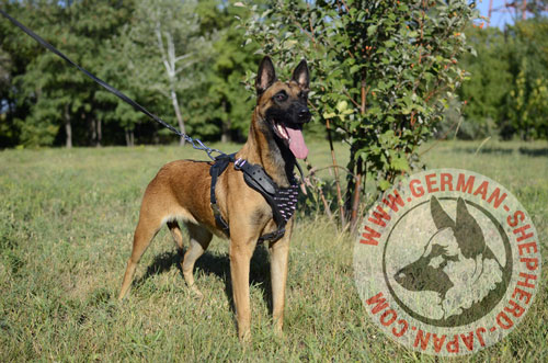 ベルジアンシェパード　スパイクハーネス - ウインドウを閉じる