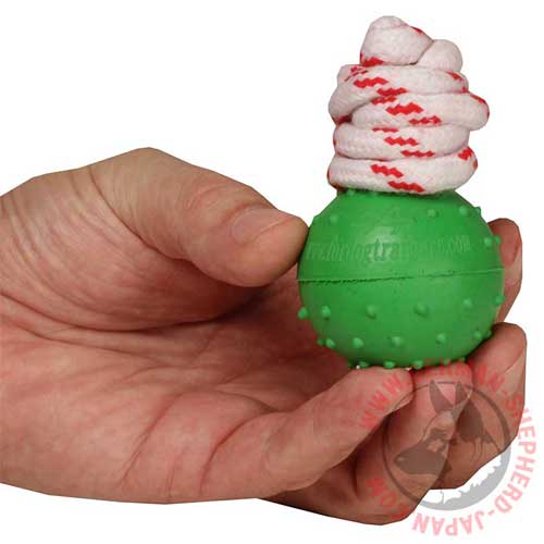 シェパード用おもちゃボール(5cm) - ウインドウを閉じる
