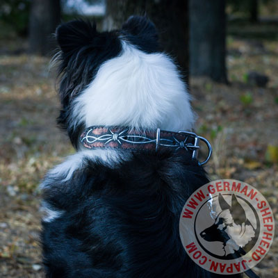 有刺鉄線柄のデザインの大型犬の首輪　コリーに最適な犬用品！ - ウインドウを閉じる