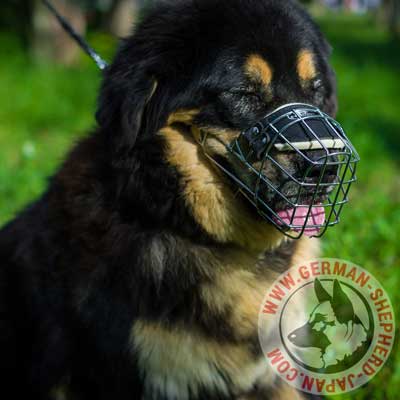 マスティフ　口輪　ワイヤータイプ　犬の噛み付き　防止 - ウインドウを閉じる