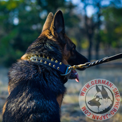 大型犬　レザーカラー　おしゃれなスパイク付き - ウインドウを閉じる