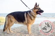 大型犬用ホワイトレザー スタイル 大型犬用ホワイトレザー スタイル