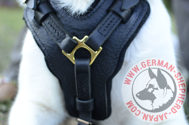 大型犬向けのかっこいいハーネス H10 1137 Leather Harness ジャーマンシェパードグッズ シェパードグッズ ジャーマンシェパード 犬 ジャーマンシェパード 犬用品 通販 German Shepherd Japan Com