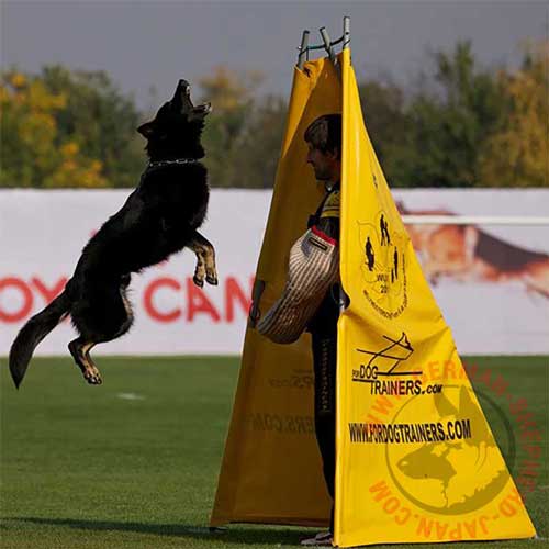 犬　訓練　用品
